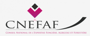 logo cnefaf